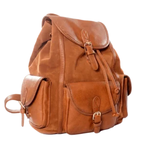 Journey Backpack