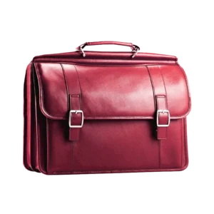 Veta Velvet Bag